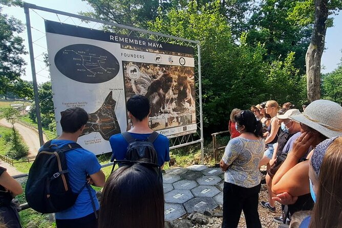 Bears Sanctuary, Dracula Castle and Poiana Brasov-Private day tour from Brasov - Small details that will make the day easier