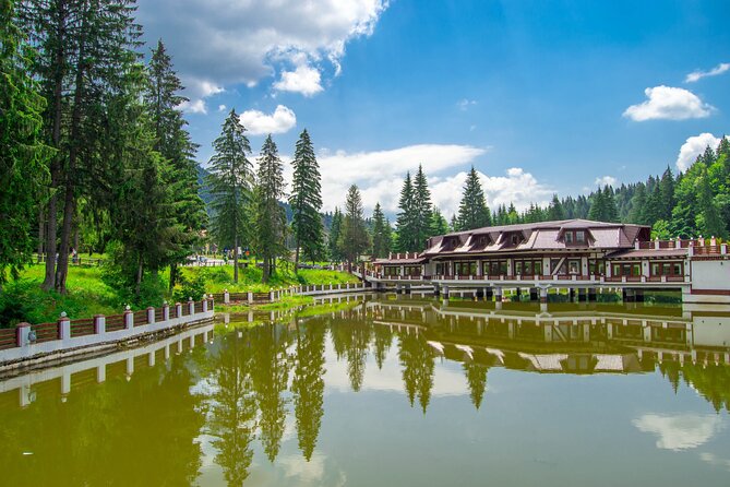 Bears Sanctuary, Dracula Castle and Poiana Brasov-Private day tour from Brasov - Should you book this Brasov day tour?