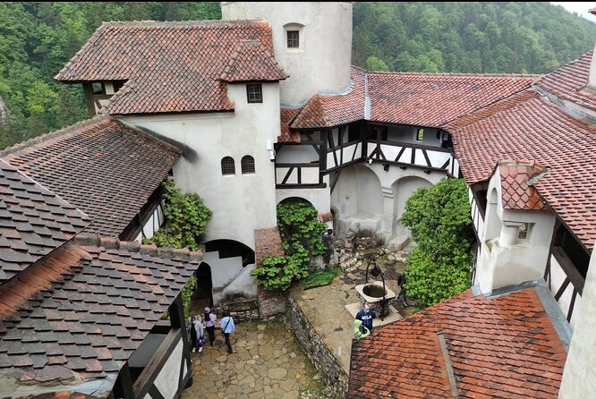 Bears Sanctuary, Dracula's Castle and Brașov City - Private Tour - Three Transylvanian stops in one long day