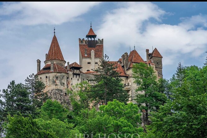 Bears Sanctuary, Dracula's Castle and Brașov City - Private Tour - Bran Castle beyond the Dracula label