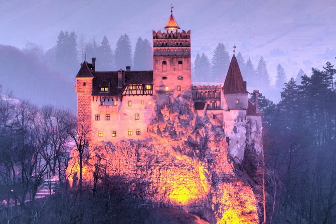 Bears Sanctuary, Dracula's Castle, Brasov Day Trip Private Tour from Bucharest - What the Private Format Is Worth