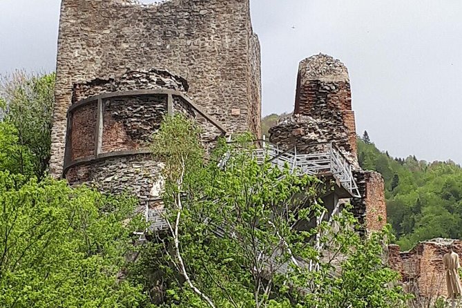 Bears Sanctuary, Dracula's Castle, Brasov Day Trip Private Tour from Bucharest - How to Get the Best Day