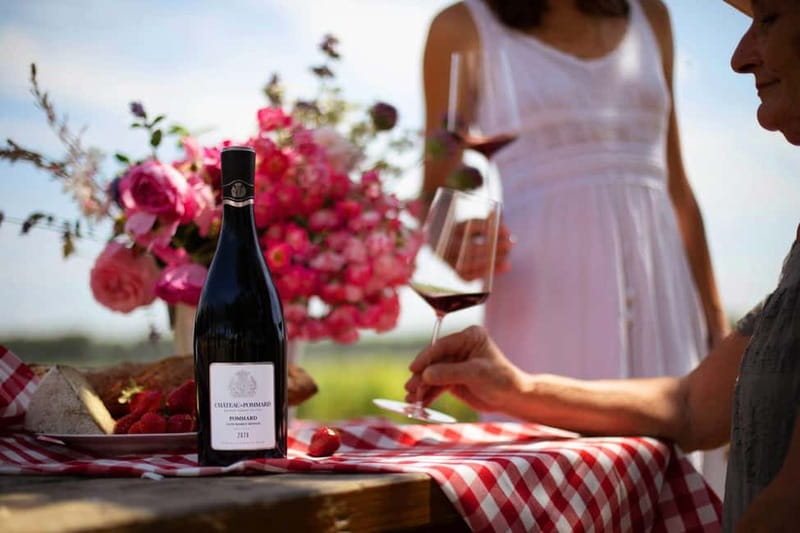 Beaune: Wine Tasting at Château de Pommard - A Burgundy lesson built around four wines