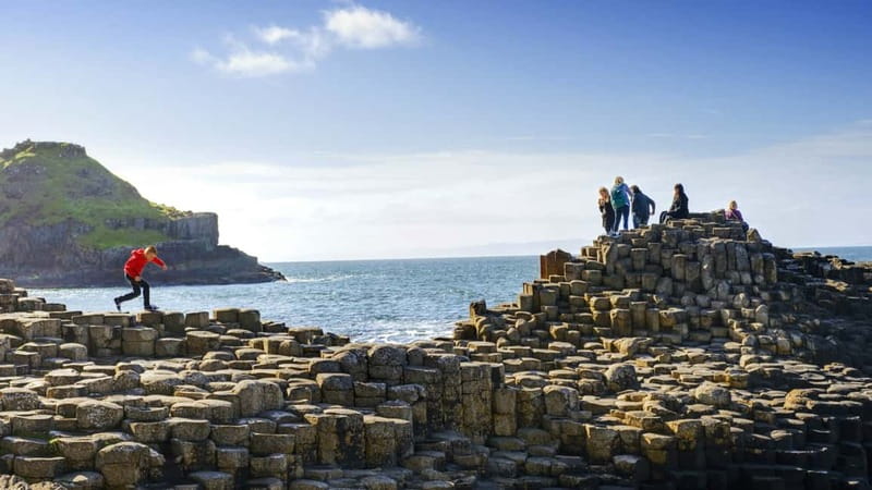 Belfast: Giant's Causeway, Dark Hedges, and Dunluce Castle - The Dark Hedges: atmospheric, brief, and best for photos