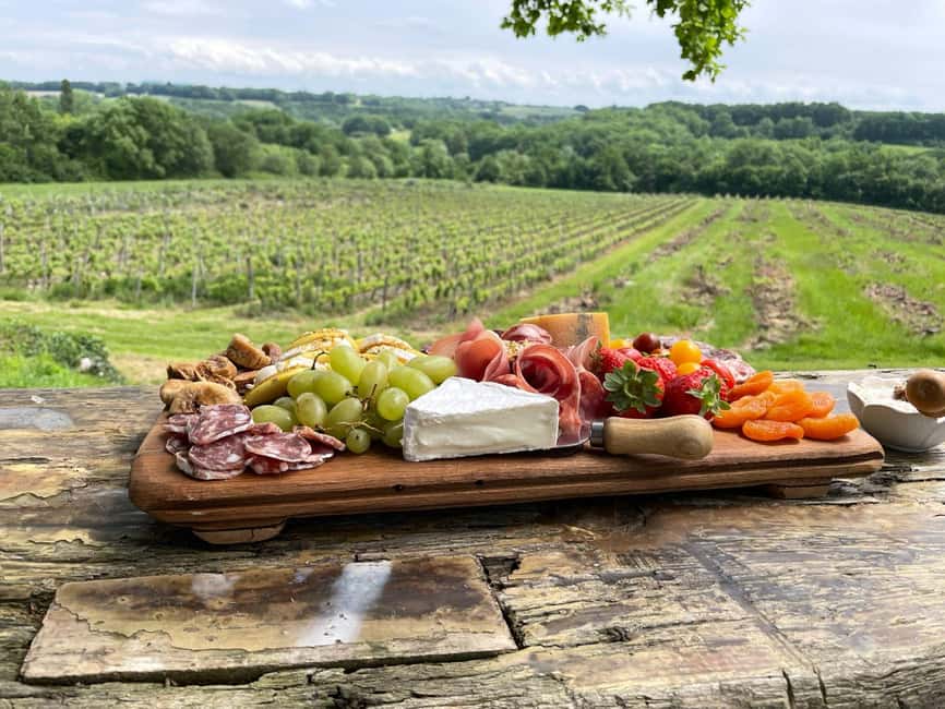 Bergerac: Lunch at Chateau Lestevenie - Lunch beneath the trees at Chateau Lestevenie