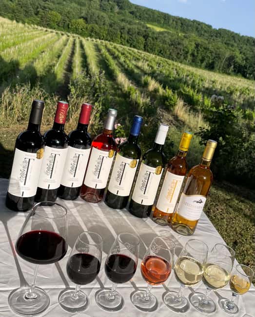 Bergerac: Wine Tasting at Chateau Lestevenie - Tasting up to six wines at an easy pace