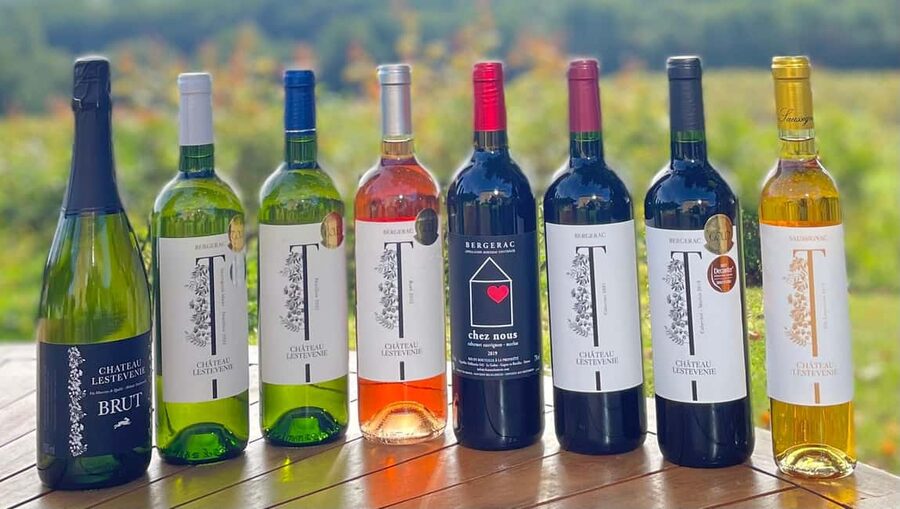 Bergerac: Wine Tasting at Chateau Lestevenie - The brief vineyard tour puts the bottles in context
