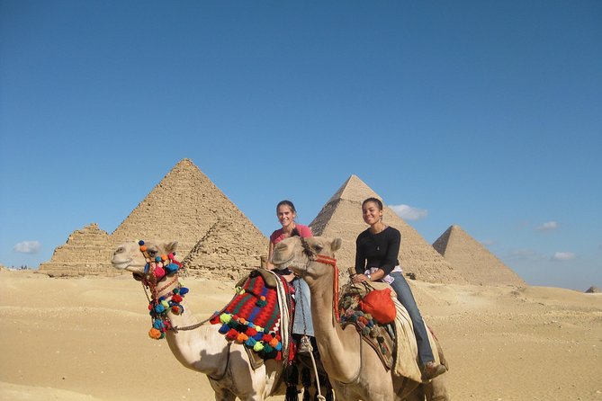 Best of Cairo Day Tour Giza Pyramids & Egyptian Museum & The Citadel & Lunch - Who should book this Cairo tour?