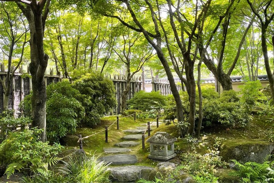Best of Himeji Castle: 3hr Tour with Licensed Guide - Price, pace, and what the $69 buys