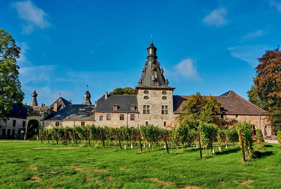 Bioul (near Dinant) : Château de Bioul Tour and Wine Tasting - Key points to know before you go