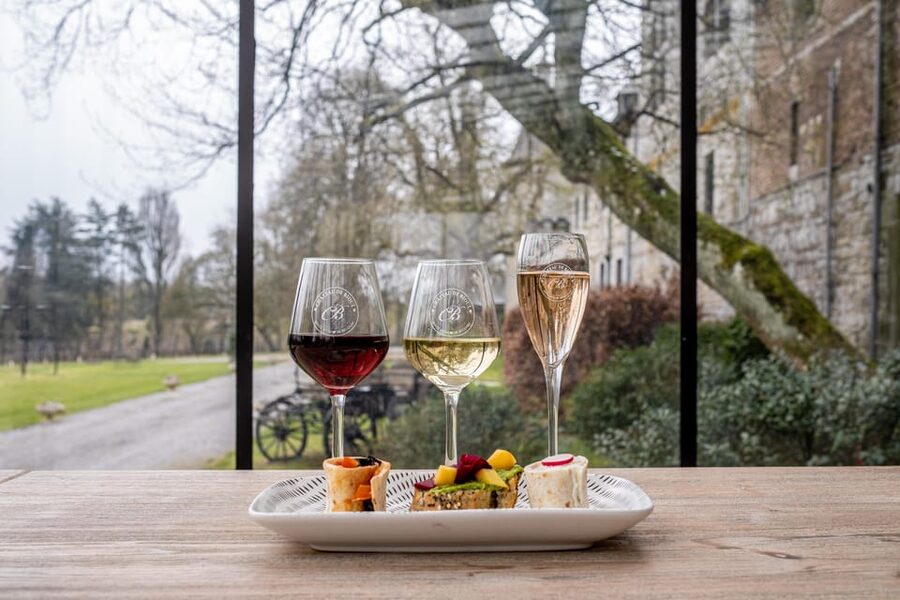 Bioul (near Dinant) : Château de Bioul Tour and Wine Tasting - Tasting Belgian wines and local products