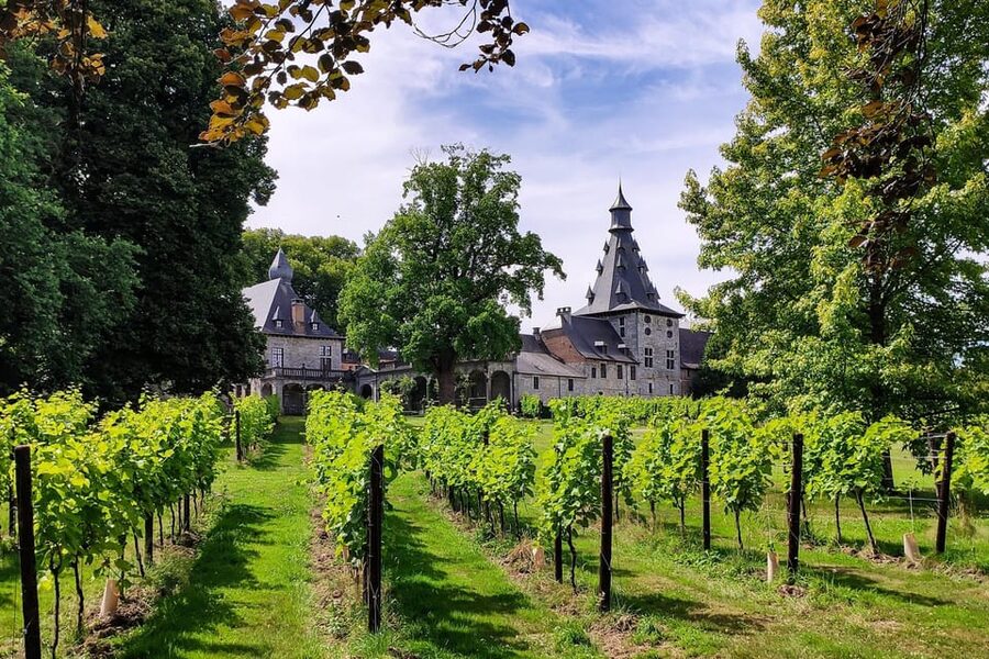 Bioul (near Dinant) : Château de Bioul Tour and Wine Tasting - Entering a château shaped by many centuries