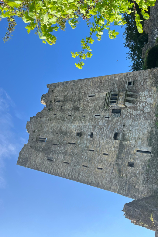 Blarney Castle and Cork City:Private taxi tour . - St. Finbarr’s Cathedral makes the grandest impression