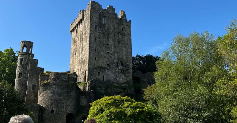 Blarney Castle and Cork City:Private taxi tour . - What the five-hour schedule means for you
