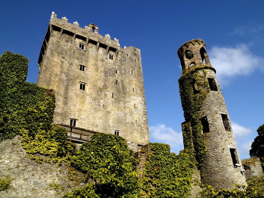 Blarney Castle Full-Day Tour from Dublin - Who should book this tour?