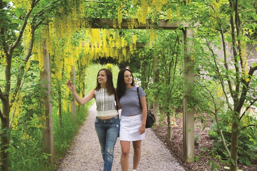 Blarney Castle Full-Day Tour from Dublin - Why this 13-hour trip works from Dublin