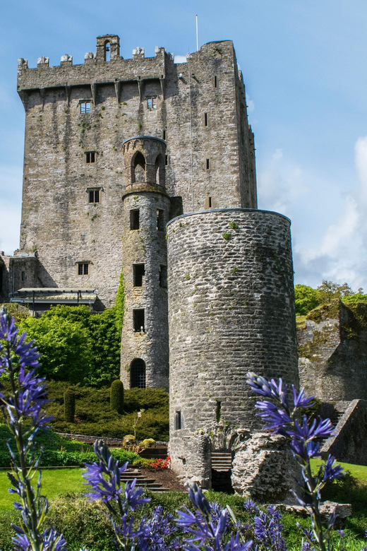 Blarney Castle: Private Guided Day Tour from Dublin - The long road from Dublin to County Tipperary