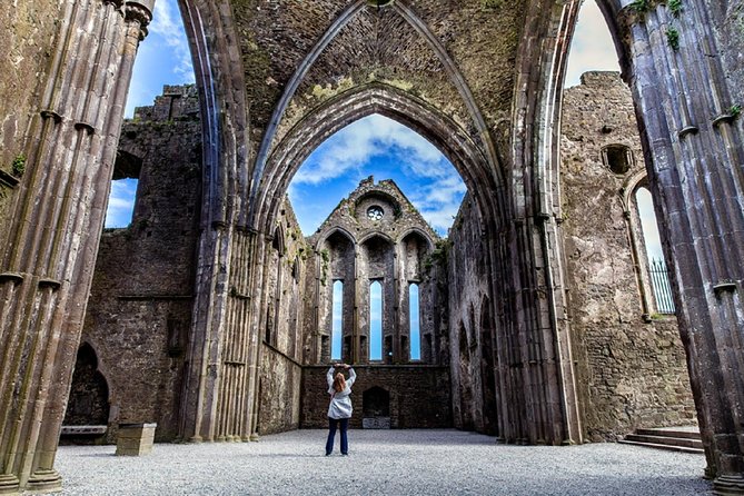 Blarney, Rock of Cashel & Cahir Castles Day Tour From Dublin - Who should take this tour?