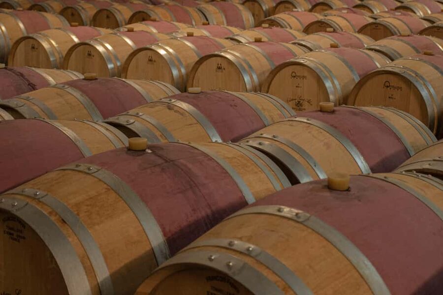Bordeaux: Château Saint Ahon classic tour - The vineyard: starting with the source