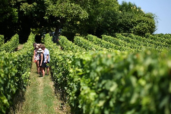 Bordeaux Full day Medoc and St Emilion 3 chateaux with Lunch - Château Côte de Baleau and the planned garden picnic