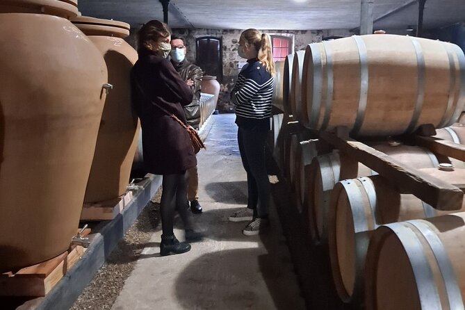 Bordeaux Médoc Region Private Wine Lovers Tour with Chateau Visits & Tastings - Who will get the most from this Médoc day?