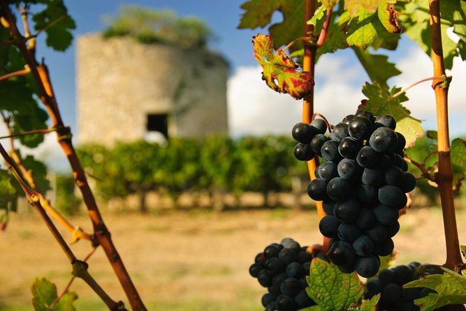 Bordeaux Médoc Region Private Wine Lovers Tour with Chateau Visits & Tastings - Following the D2 past Bordeaux’s famous names