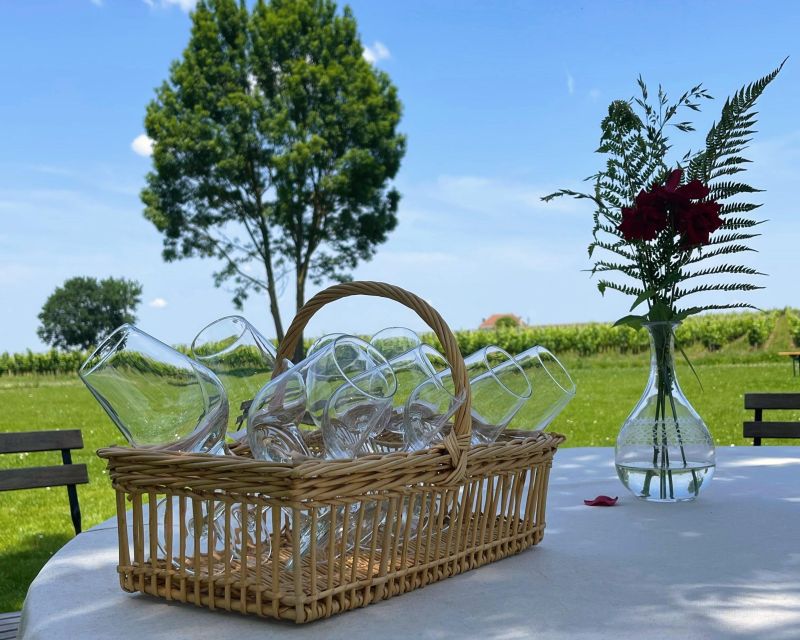 Bordeaux: Médoc & St-Emilion Wine 3 châteaux with lunch - Who will enjoy this Bordeaux day most