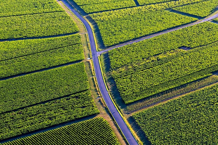 Bordeaux: Panoramic flight over vineyards and castles - Who should book this Bordeaux aerial tour?