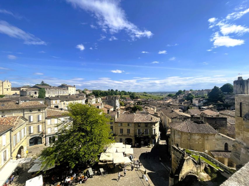 Bordeaux: Saint-Emilion Village Day Trip, 2 Chateaux & Lunch - Should you book the Saint-Émilion wine day?