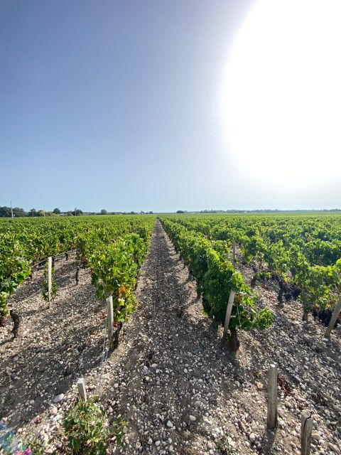 Bordeaux: Saint Emilion Village with Chateaus & Wine Tasting - Why Saint Emilion works so well as a half-day trip
