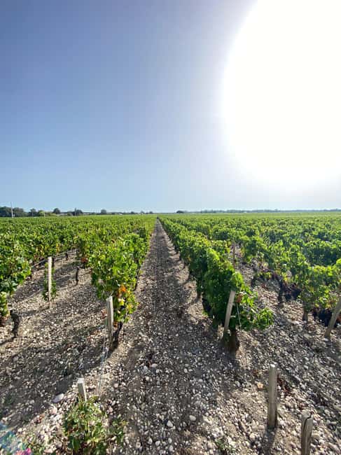 Bordeaux: Saint Emilion Village with Chateaus & Wine Tasting - Who will enjoy this outing most