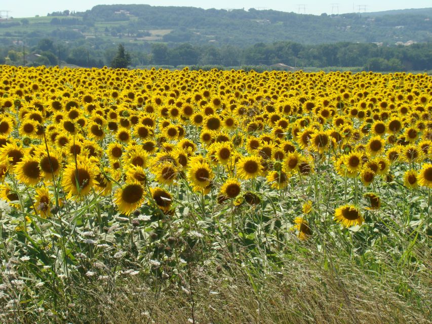 Bordeaux to Dordogne: Castles & Villages Private Tour - The castles and gardens you can request