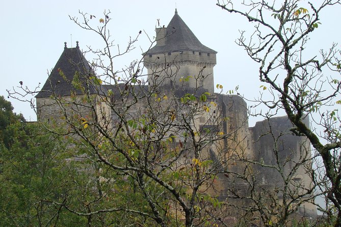 Bordeaux to Dordogne - Private Tour: Fortified Castles and Medieval Villages - Domme: High Views Without a Long Hike