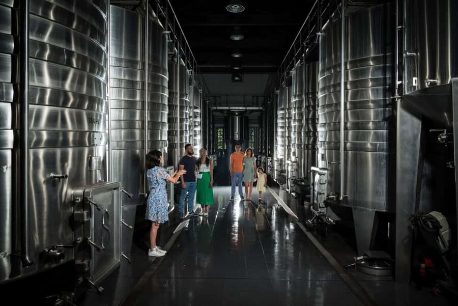 Bordeaux: Visit to Château de Reignac and prestige tasting - Who should book this château experience?