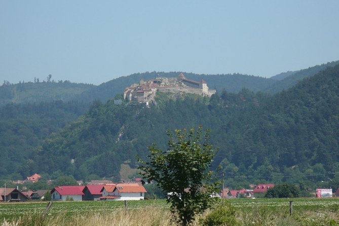 Bran Castle and more options private tour from Brasov - Libearty Bear Sanctuary: the alternate route