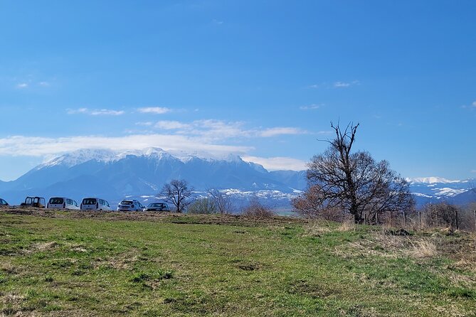 Bran Castle & Bear Sanctuary from Brasov - Optional Peles Castle - Timing, fitness, and what to bring