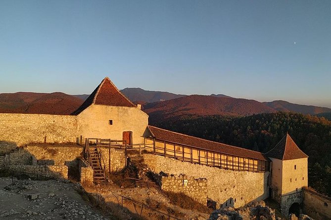 Brasov: Bear Sanctuary, Bran Castle & Rasnov Fortress GUIDED Tour - A small group makes the driving worthwhile