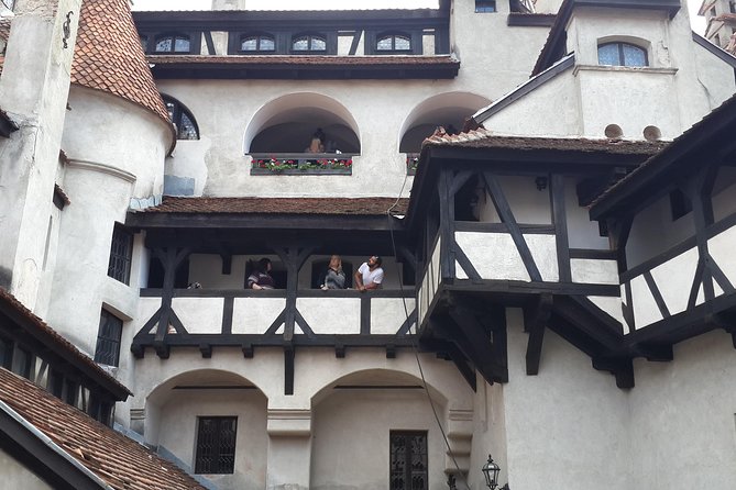 Brasov: Bear Sanctuary, Bran Castle & Rasnov Fortress GUIDED Tour - What the eight-hour schedule feels like