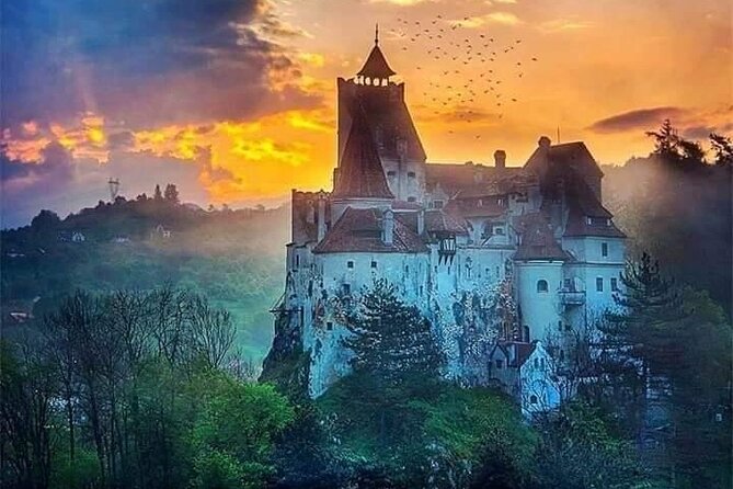 Brasov: Bear Sanctuary, Bran Castle & Rasnov Fortress GUIDED Tour - Who will enjoy this tour most