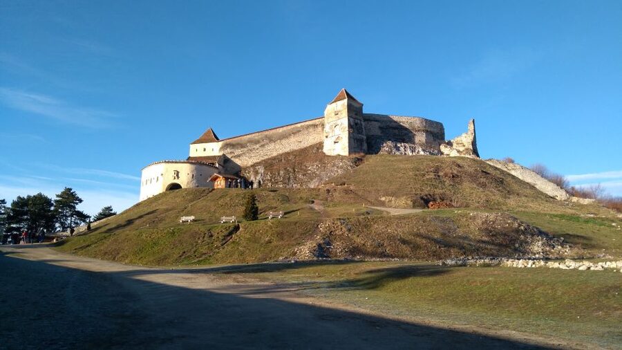 Brasov: Bear Sanctuary, Bran Castle & Rasnov Fortress Tour - Key points at a glance