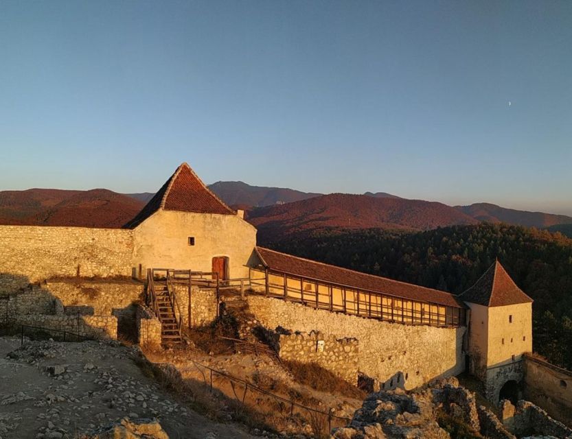 Brasov: Bear Sanctuary, Bran Castle & Rasnov Fortress Tour - Should you book it?