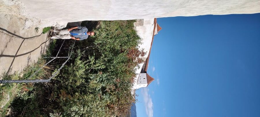 Brasov: Bear Sanctuary, Bran Castle & Rasnov Fortress Tour - The small-group setup and the guides