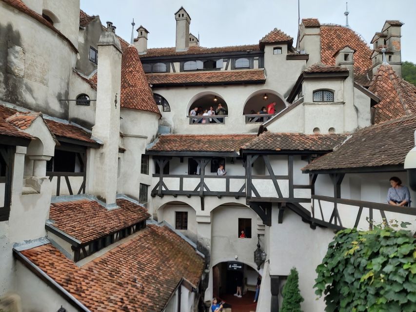 Brasov: Bear Sanctuary, Bran Castle & Rasnov Fortress Tour - Who should book this Brasov day trip?