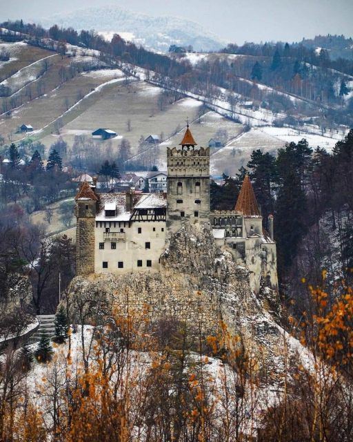 Brasov: Bear Sanctuary, Bran Castle & Rasnov Fortress Tour - Libearty Bear Sanctuary: the strongest first stop