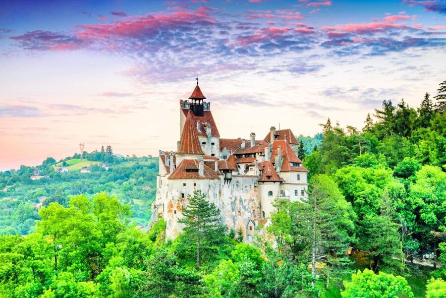 Brasov: Bear Sanctuary, Dracula Castle, and Râşnov Fortress - Small details that make the day easier