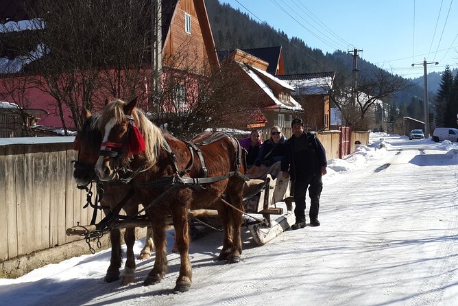 Brasov: Bears Sanctuary, Rasnov Fortress, Bran Castle GUIDED Tour - Is $70.61 good value?