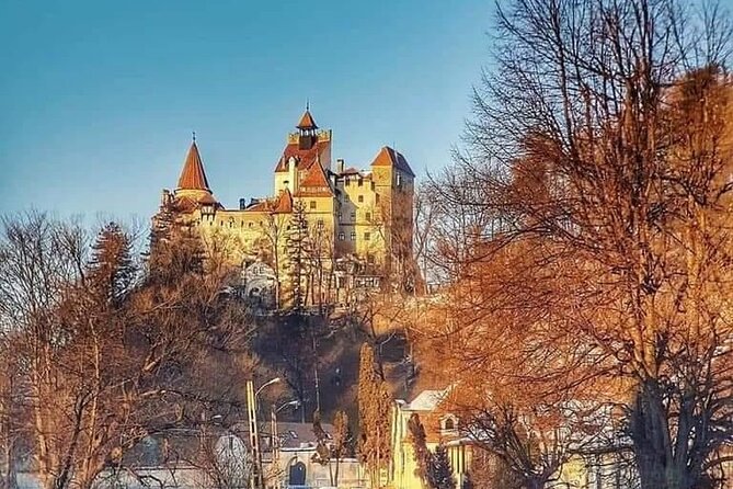 Brasov: Bears Sanctuary, Rasnov Fortress, Bran Castle GUIDED Tour - Final verdict: a strong first taste of Transylvania