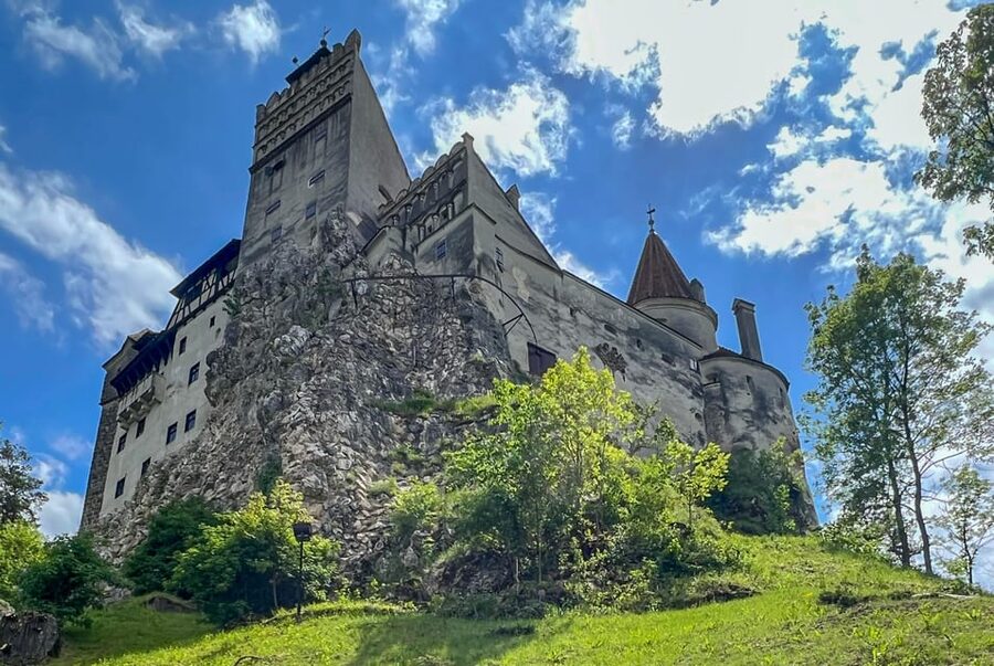 Brasov: Bran Castle, Bear Sanctuary, Rasnov (Peles Optional) - Why the bears are the day’s strongest opening