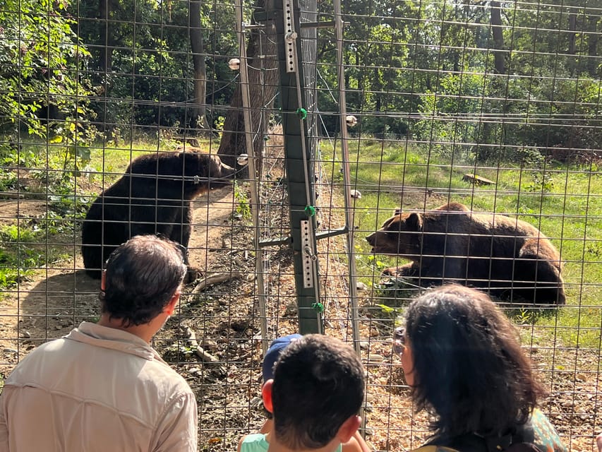 Brasov: Bran Castle, Bear Sanctuary, Rasnov (Peles Optional) - Who should book this Brasov excursion?