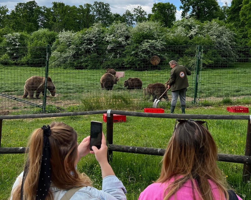 Brasov: Bran Castle, Bear Sanctuary, Rasnov (Peles Optional) - What you actually see at Rasnov Citadel